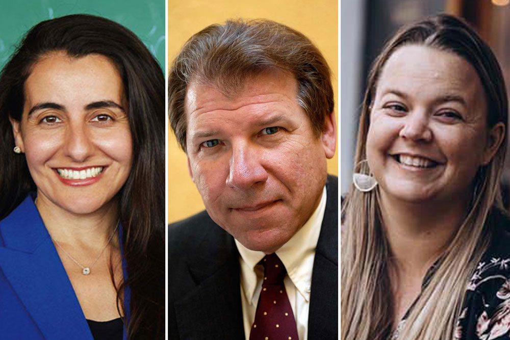 3 vying to represent SB County in state Senate