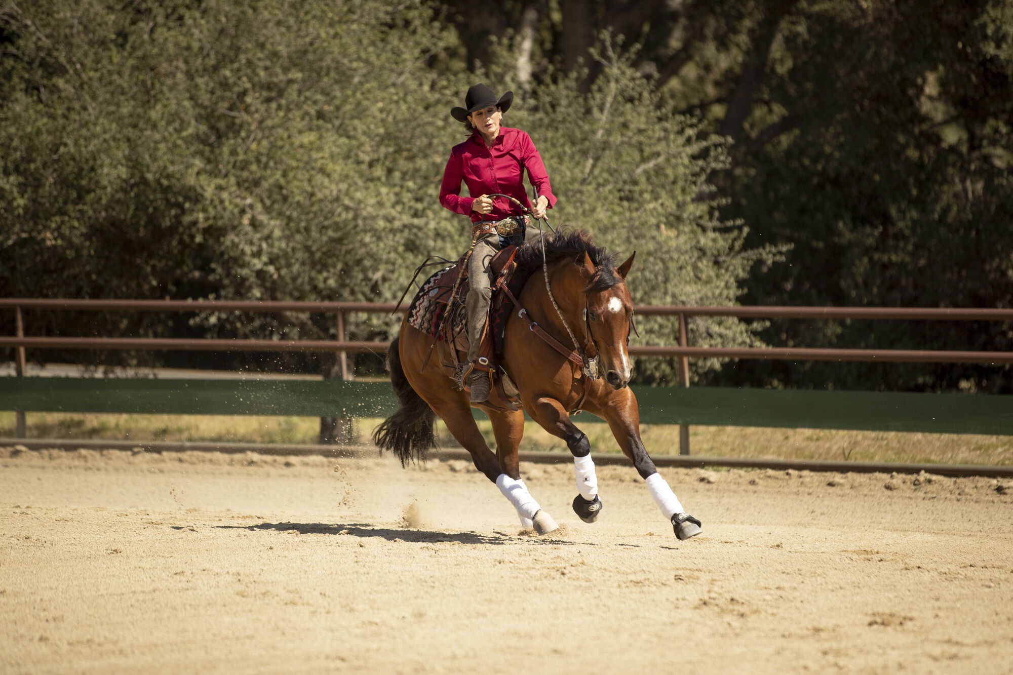Equestrian group kicks off Saddle Series