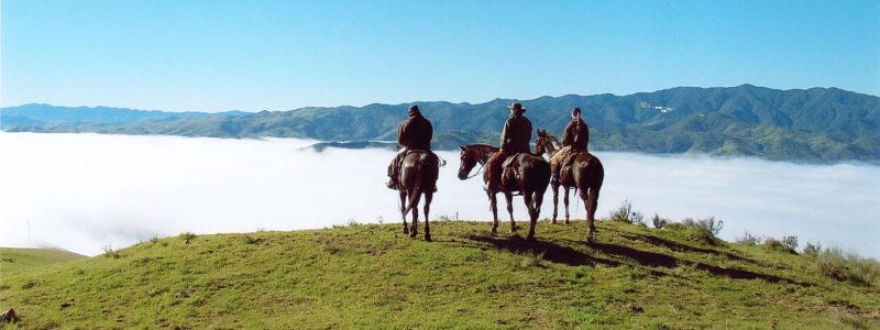 California Rangeland Trust CEO to depart