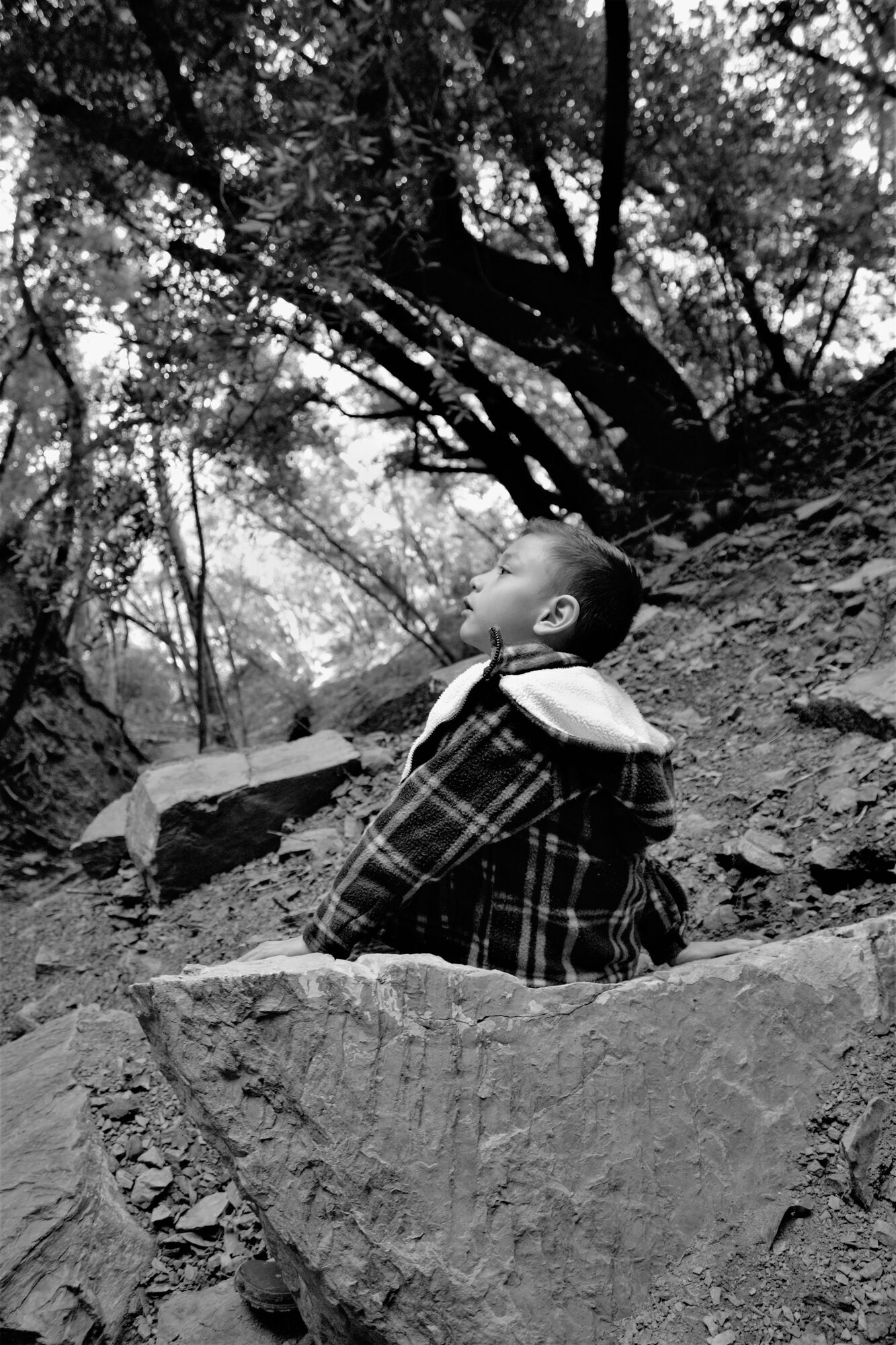 Wildling exhibit to feature Solvang School students’ work
