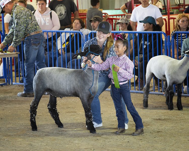 Santa Barbara County Fair announces cancellation