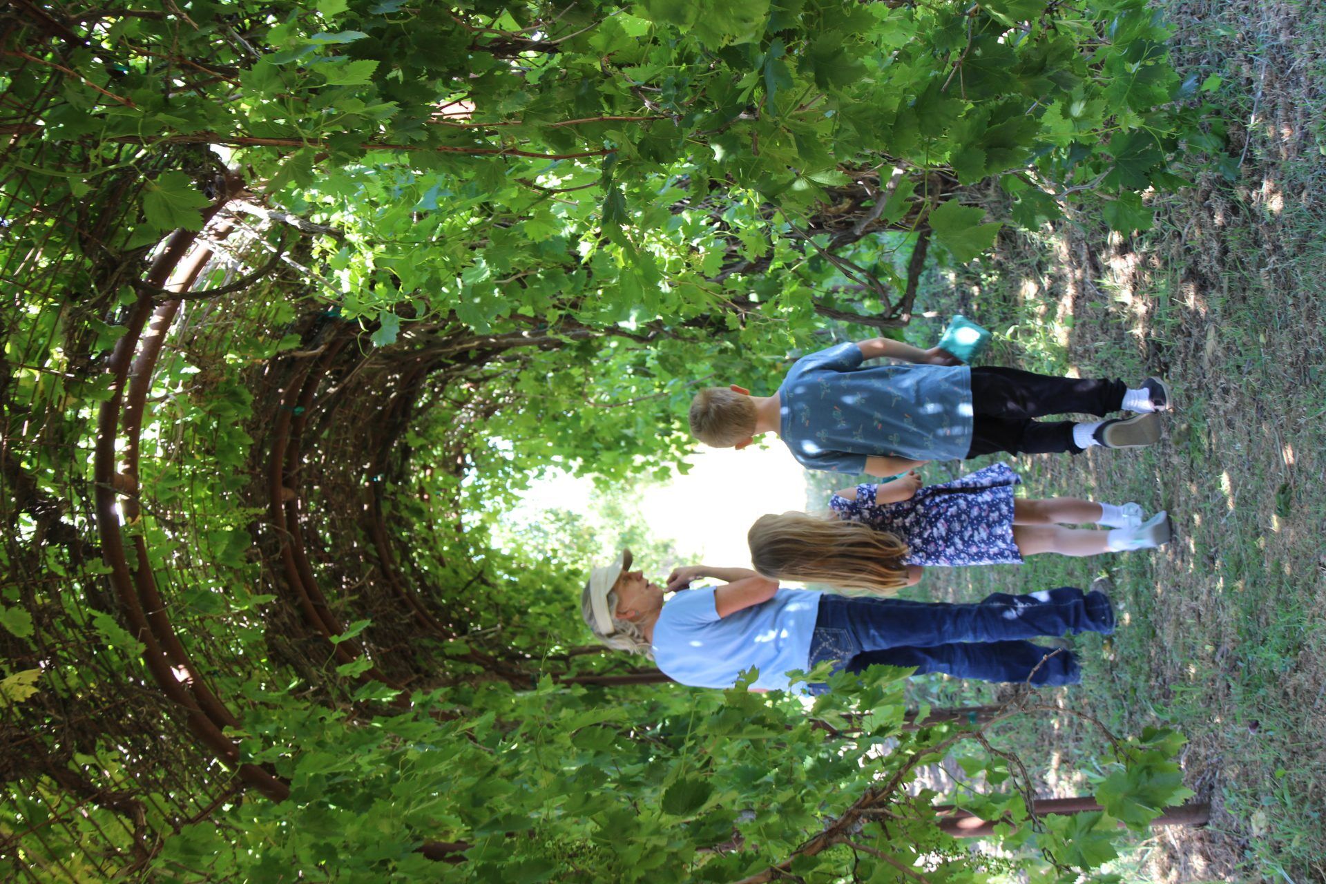 Summerset Farm embraces social distancing with fun activities