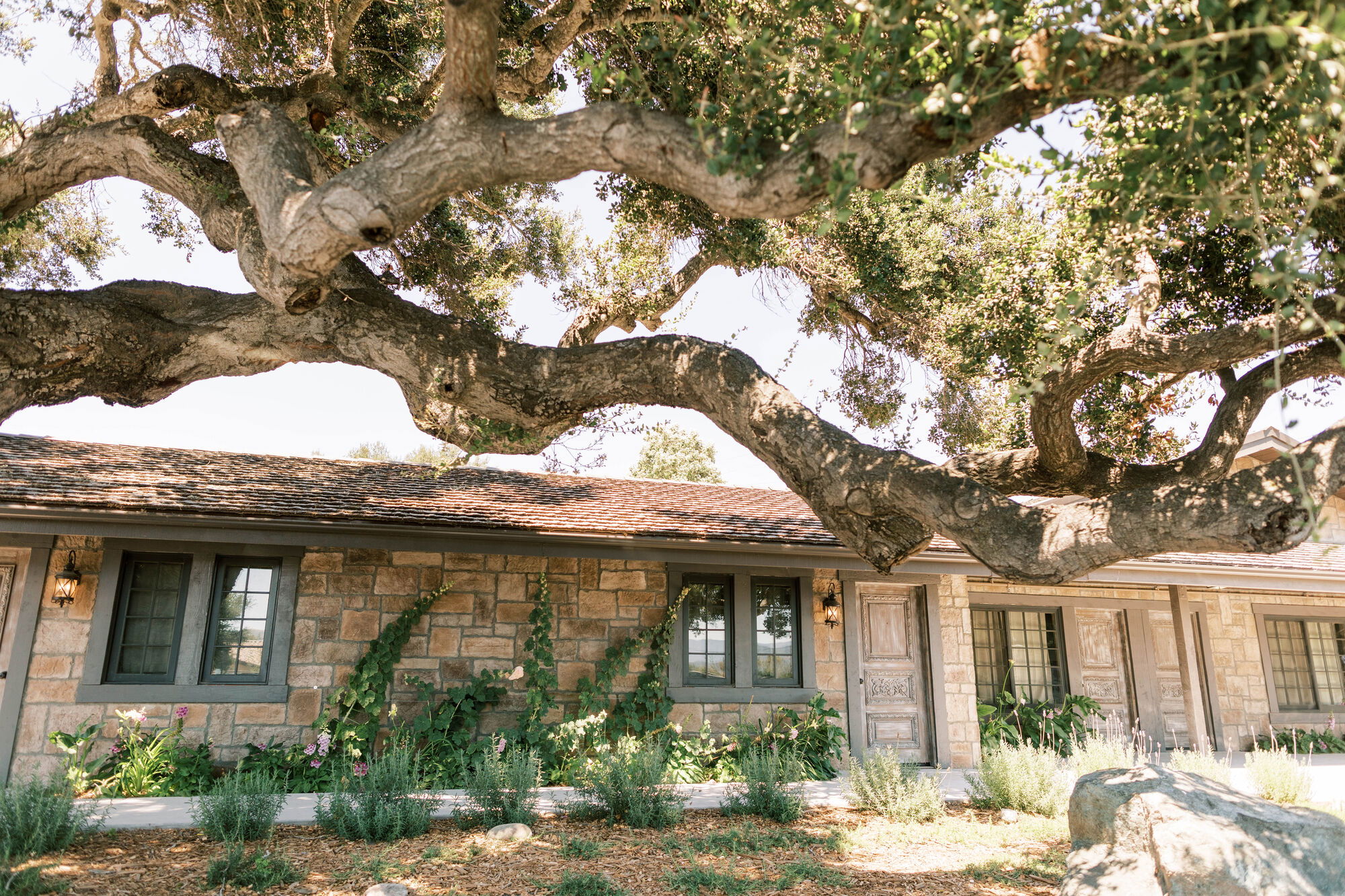 The Tavern at Zaca Creek to open Aug. 22