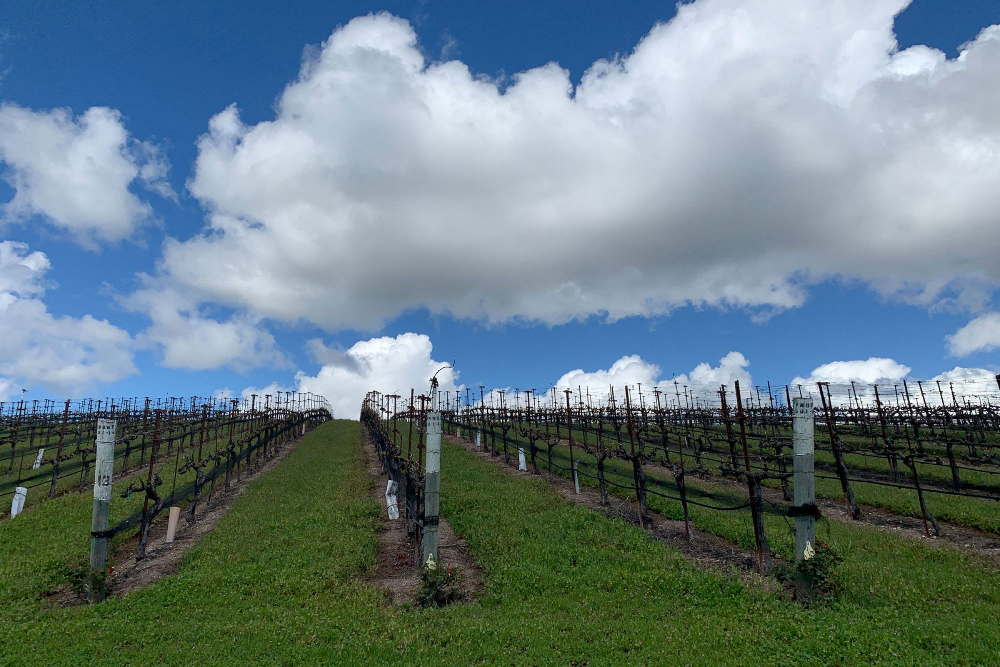 SB Vintners Proposes Assessment Fee on Tasting Room Wine Sales