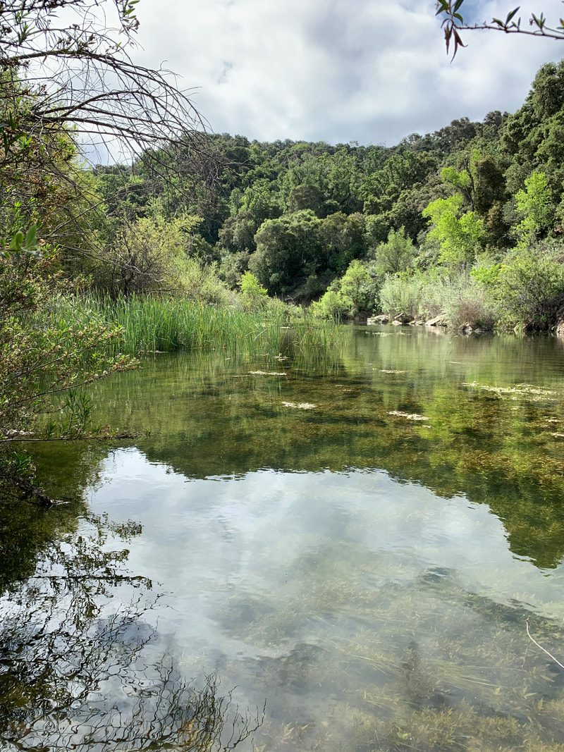 10 ways to lift your spirits in SYV during COVID-19