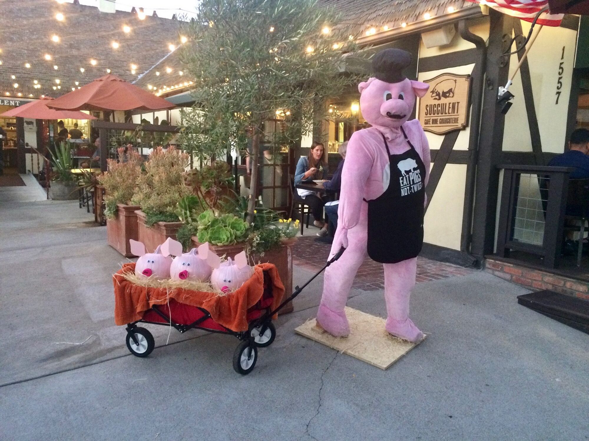 Succulent Cafe takes top Scarecrow honors for 2020