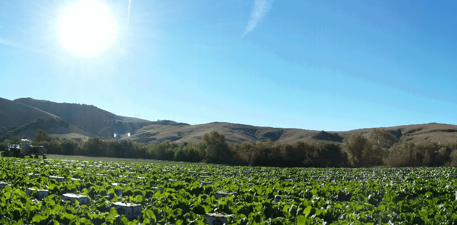 New stimulus package offers aid for rural California