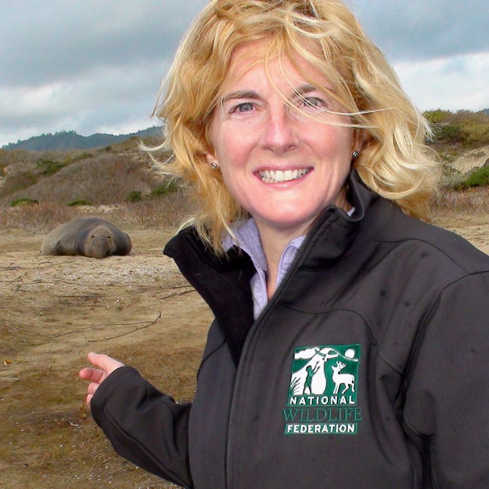 Conservationist Beth Pratt to join Wildling Museum for online presentation