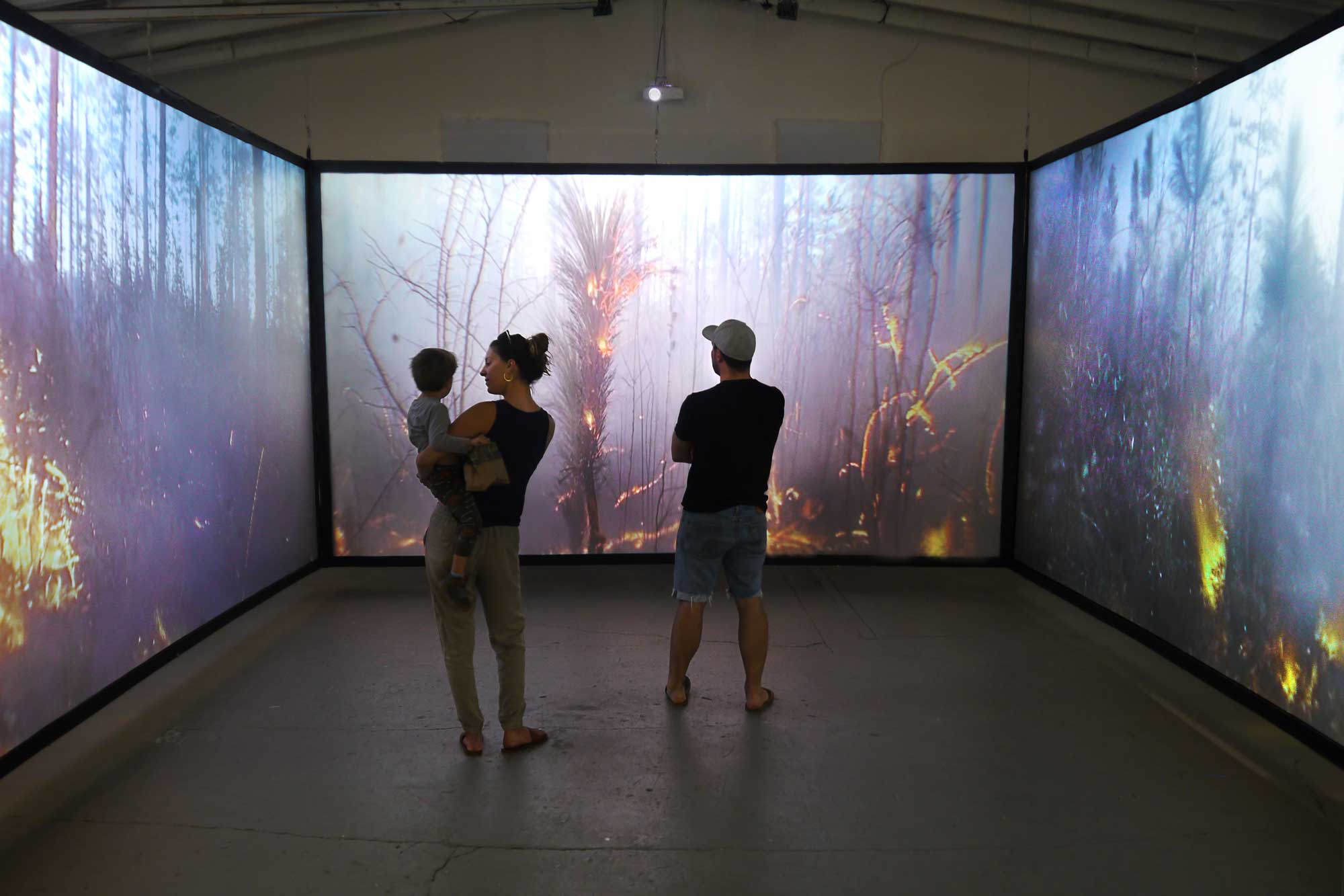 ‘Walk Into Wildfire’ offers unique perspective of fire ecology