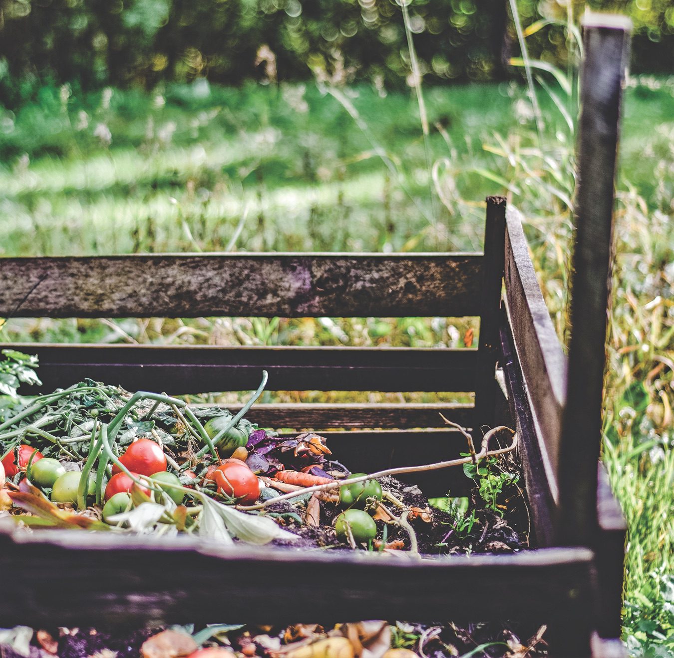 SB County provides expert help with backyard composting