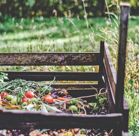 SB County provides expert help with backyard composting