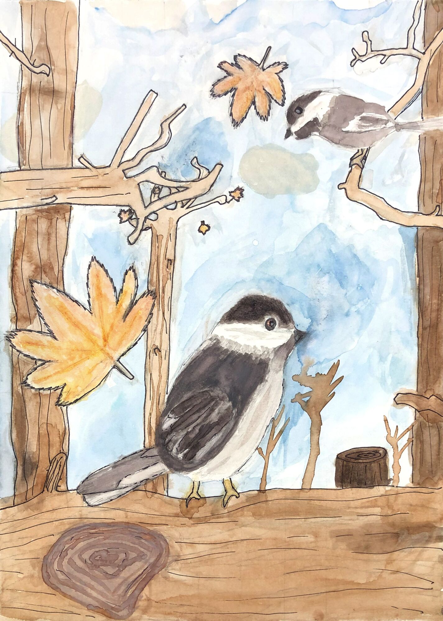 Wildling Museum partners with Solvang School to highlight student work