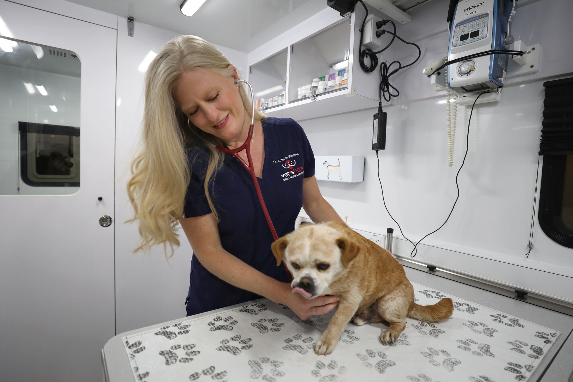 Vet’s Here celebrating a decade of helping animals