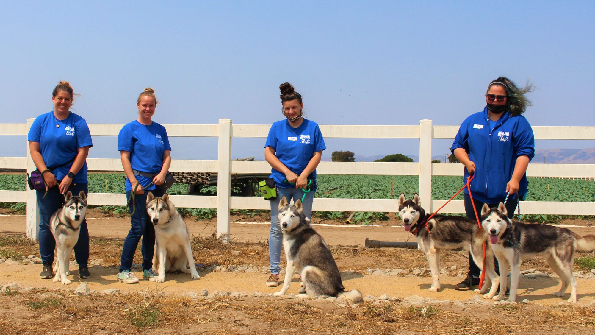 SB Humane Launches Specialty Training Classes for Two Dog Breeds Most Often Surrendered to Shelter