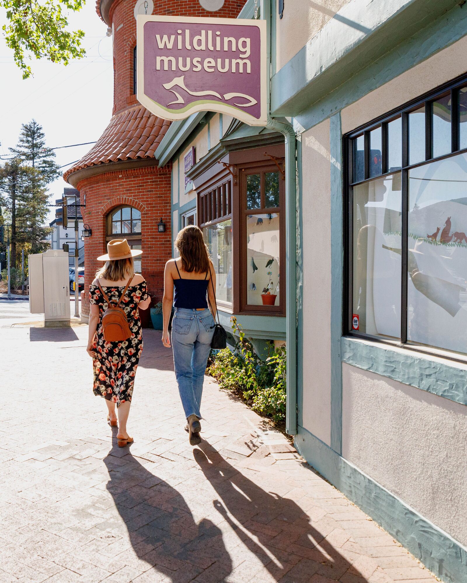 Wildling Museum welcomes community for Summer Open House