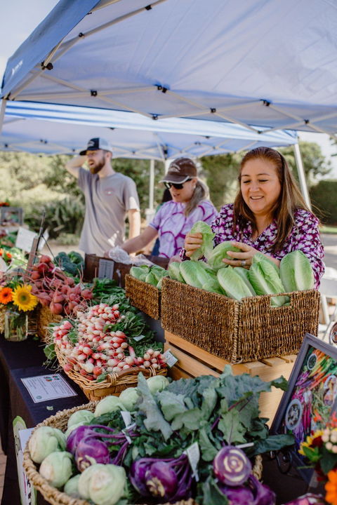 Meet the hands that feed you at SB County Farm Day