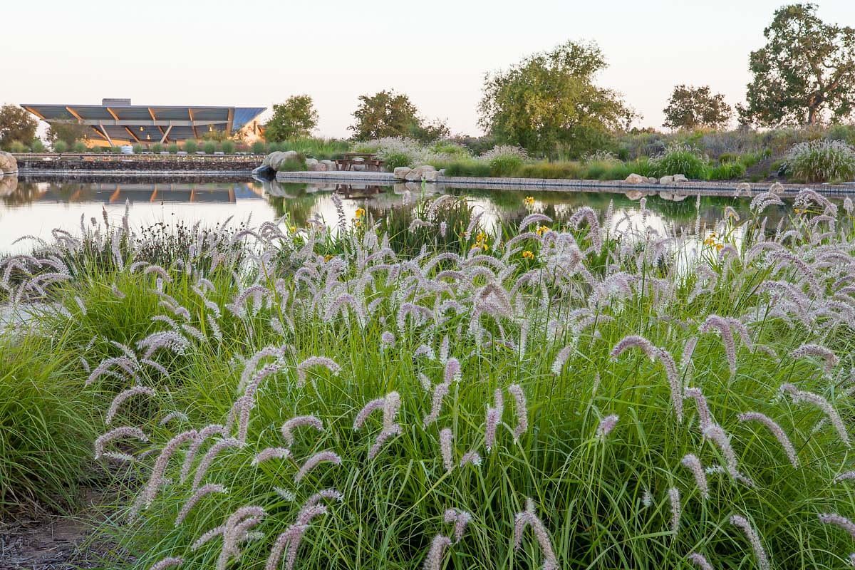 Arcadia Studio takes awards for landscape architecture