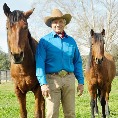 Learn more about horses at The Movement 2023