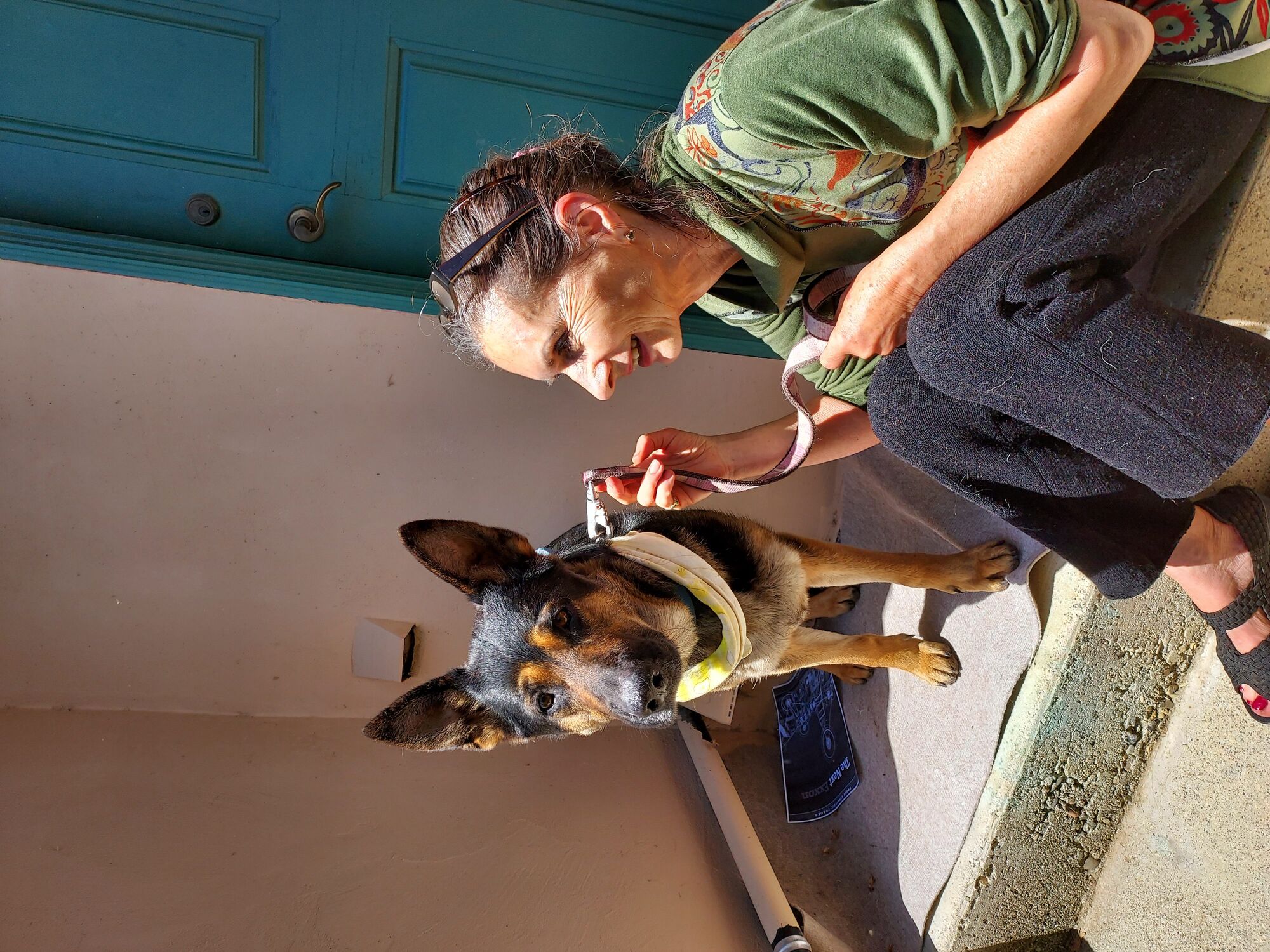 Residents in SYV, and beyond, show huge heart for lost pets