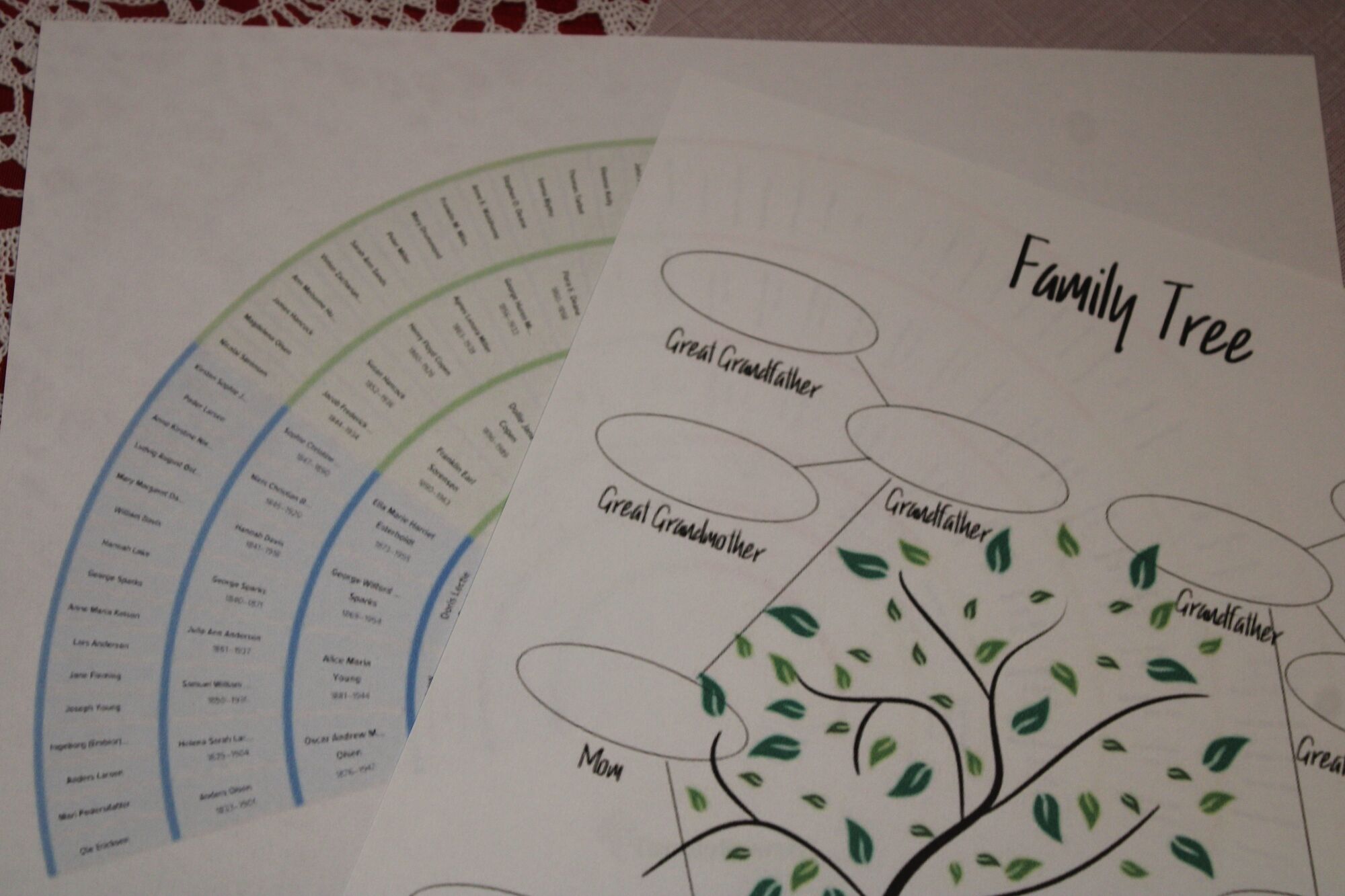 There are many places you can go for family research