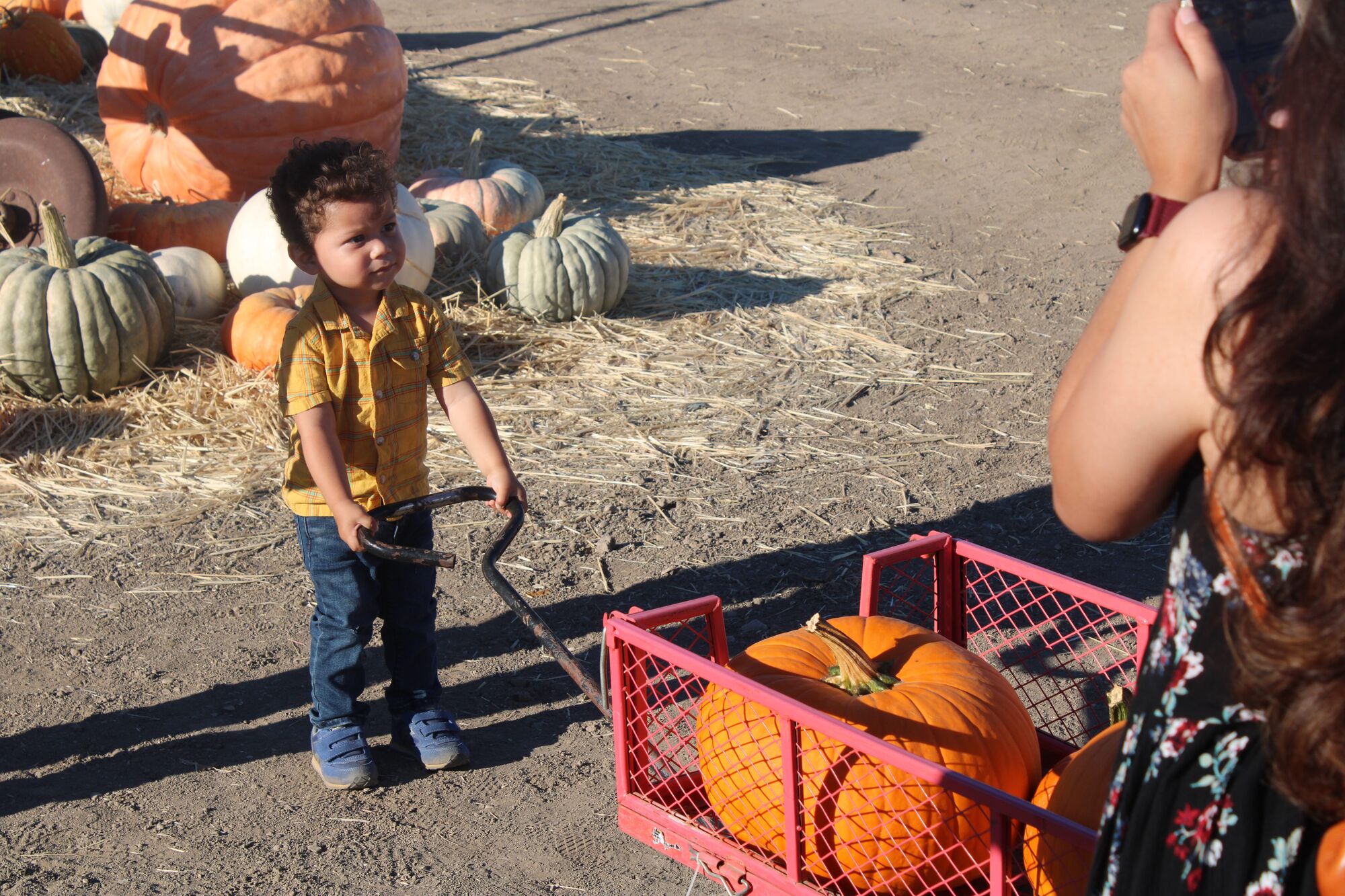 Valley gets ready for season of pumpkins and scares