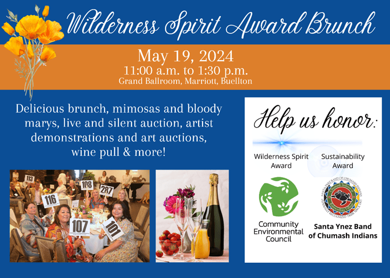 California Nature Art Museum announces the 2024 Wilderness Spirit Awards honorees