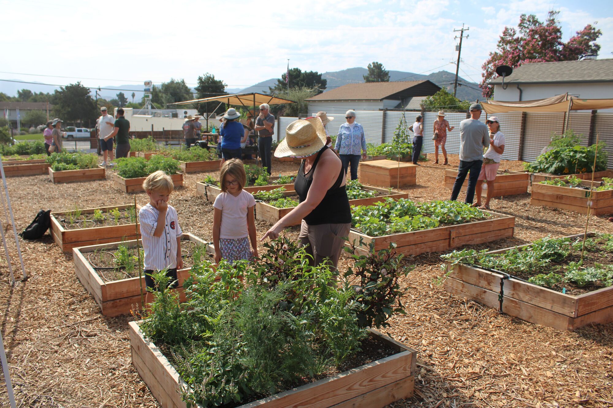Fomerly vacant corner lot becomes Buellton's 'green spot'
