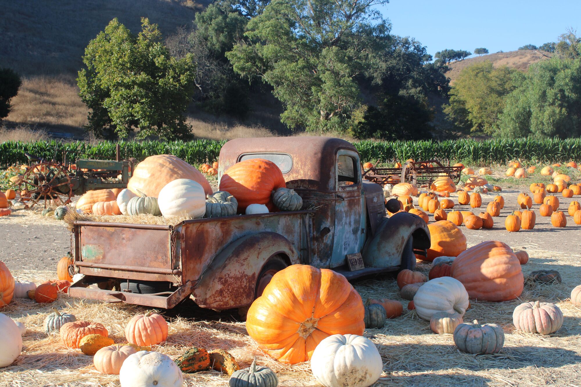 Valley has frightful and fun happening into Halloween and beyond