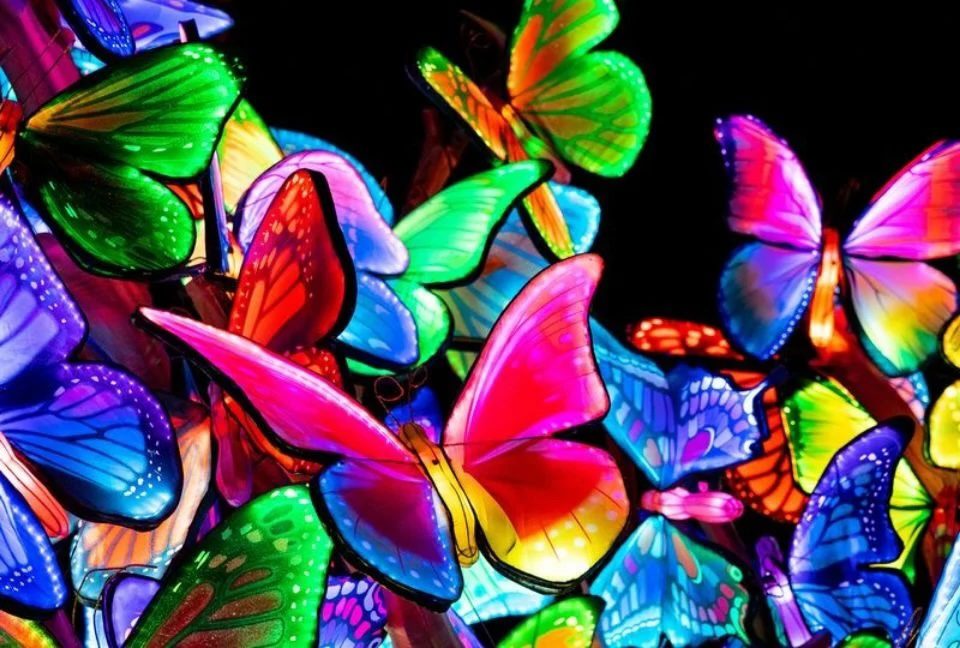 ZooLights 2024: Santa Barbara’s Brightest Holiday Tradition is Back
