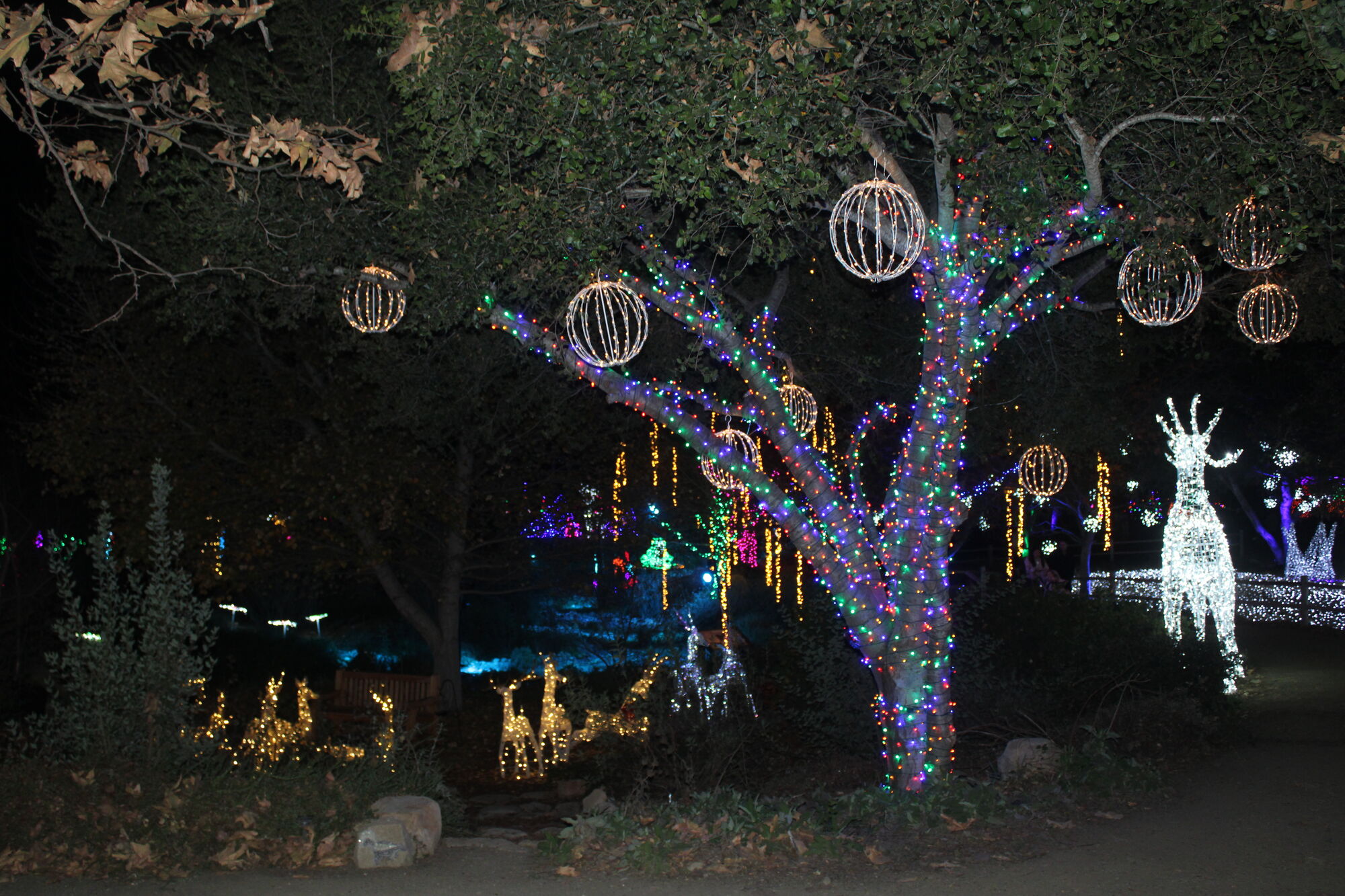 Buellton enjoys a bigger, better Winter Fest