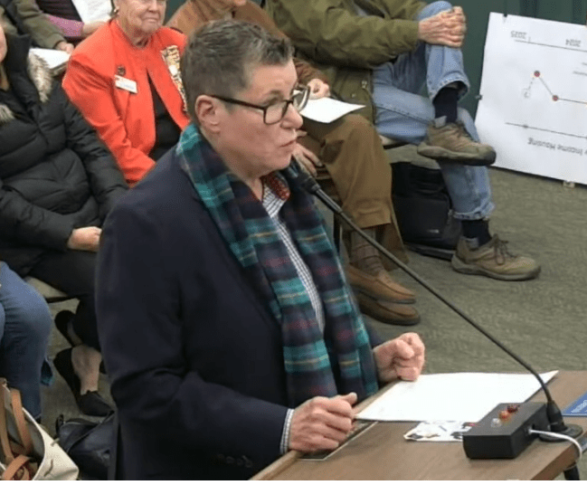 Solvang City Council appoints Louise Smith to District 3 seat