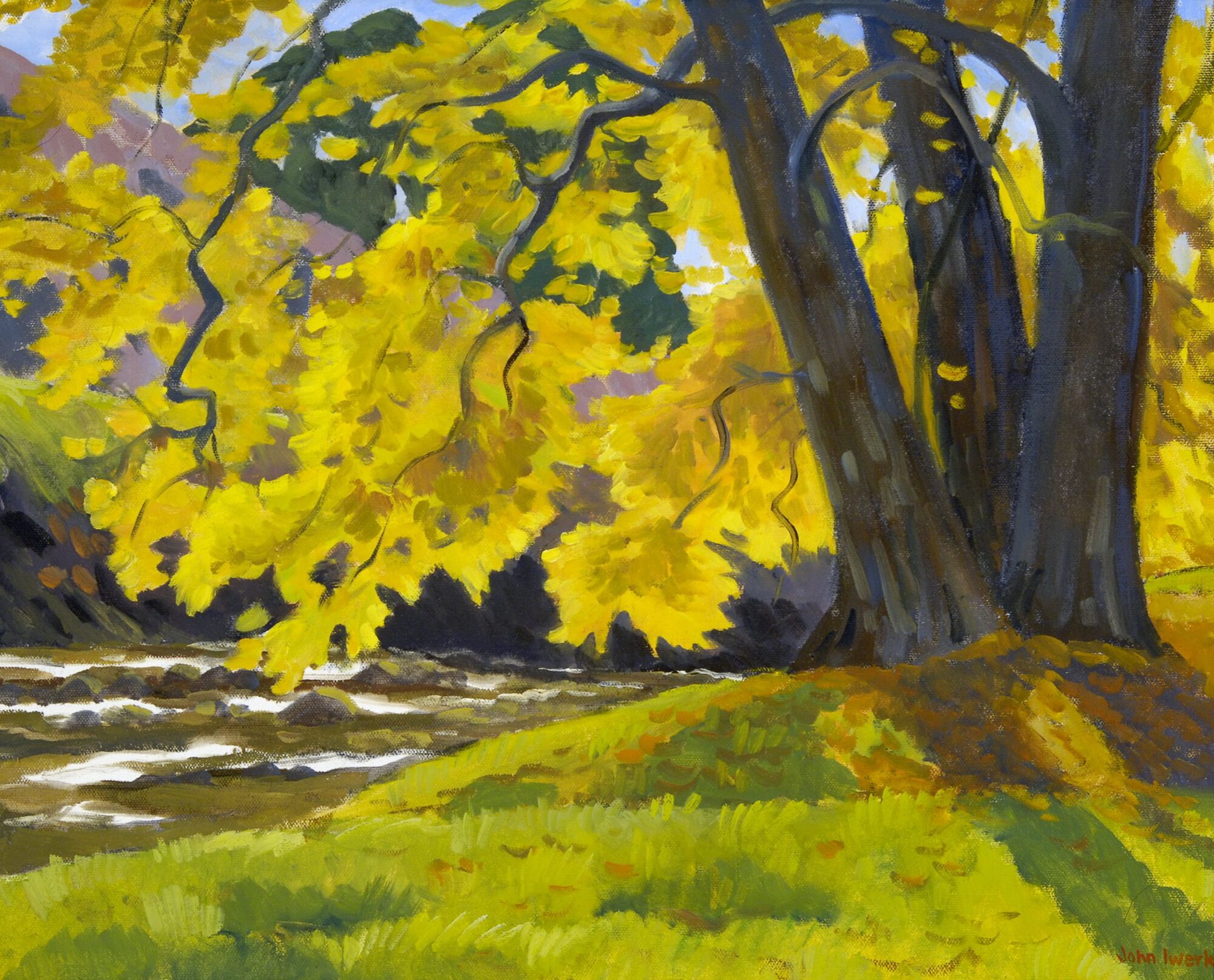 Local artist has grown up with the genre