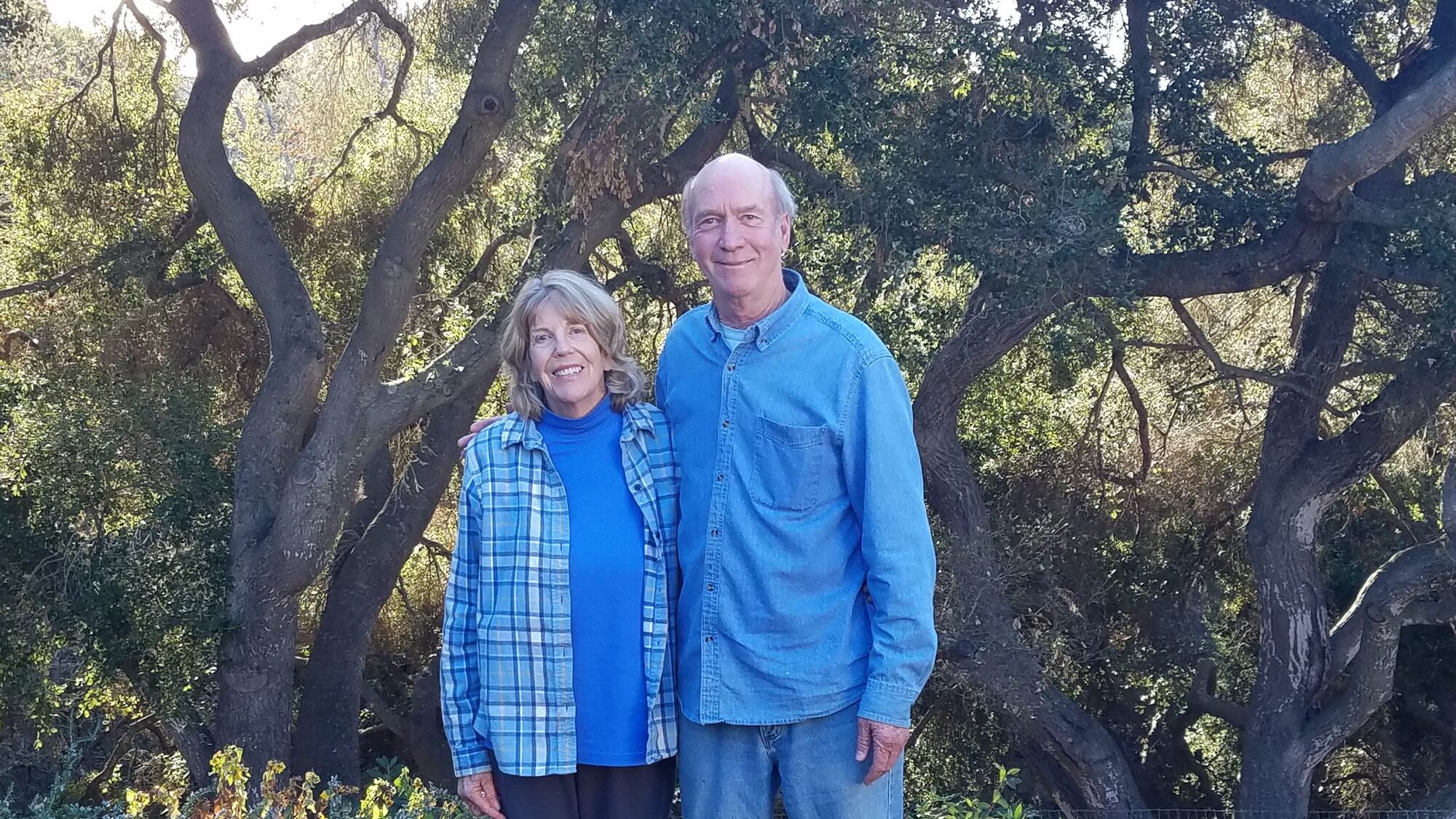 A love story inspired by art, nature, preservation, and friendship