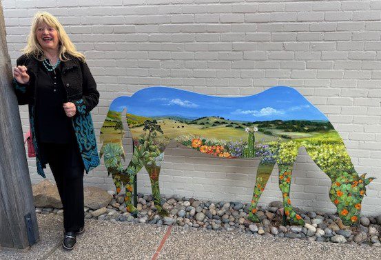 Town horse finds safe home at Santa Ynez Valley Historical Society