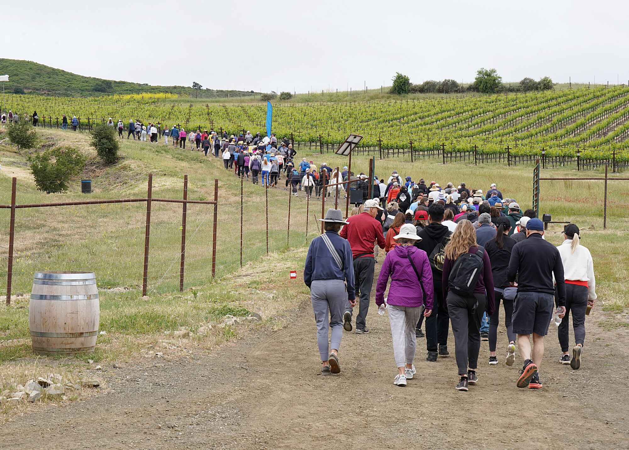 Alma Rosa Winery’s sixth annual Peace of Mind walk raises $256K