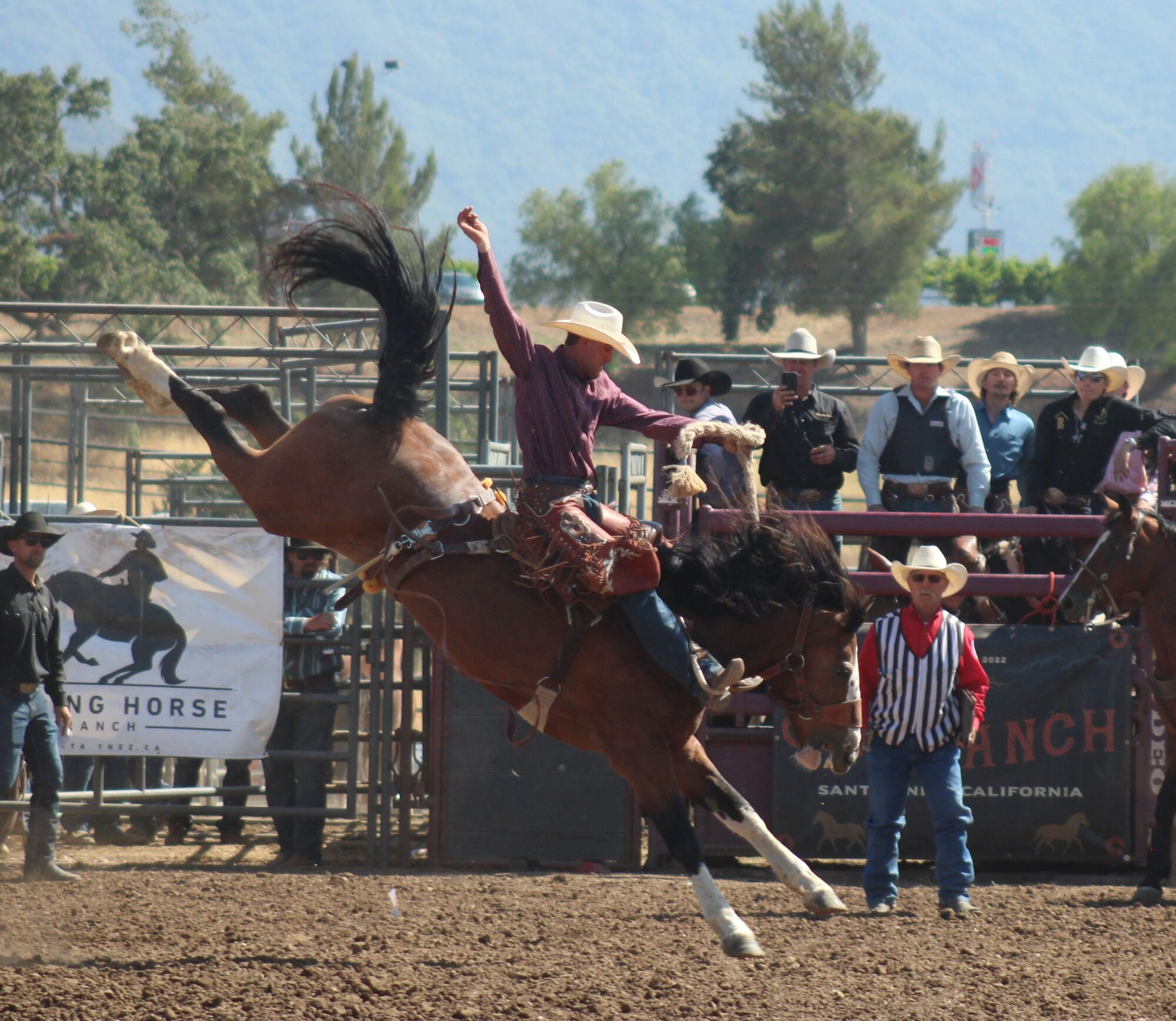 Rodeo action adds to Old Santa Ynez Days enjoyment