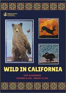 California Nature Art Museum to celebrate 25-year anniversary with founder's exhibition opening: ‘Wild in California’