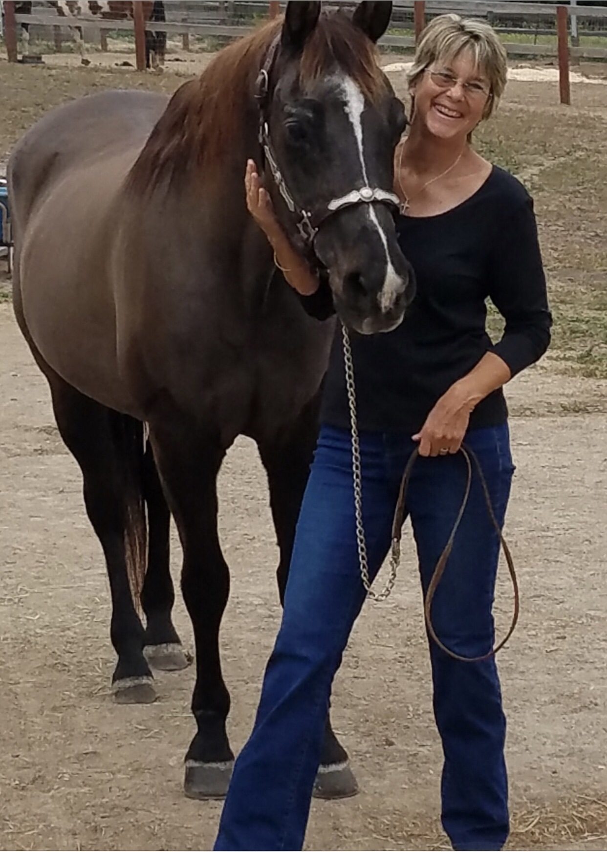 Happy Endings holding ‘Rock for Horses’ fundraiser