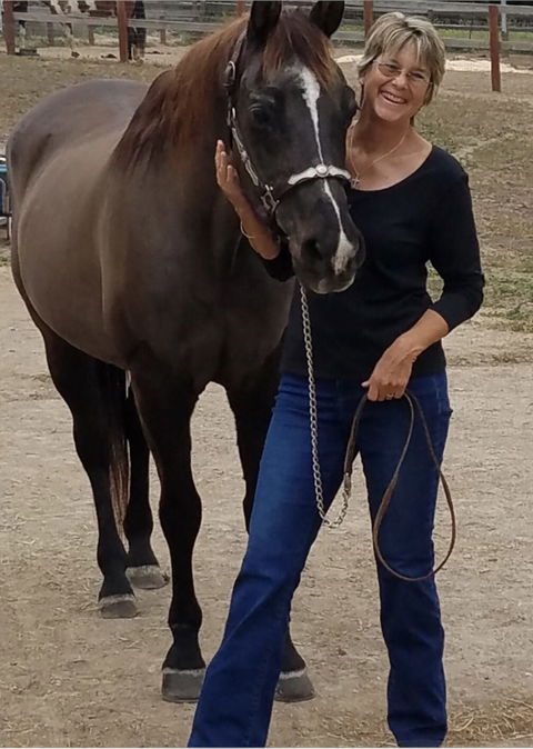 Happy Endings holding ‘Rock for Horses’ fundraiser