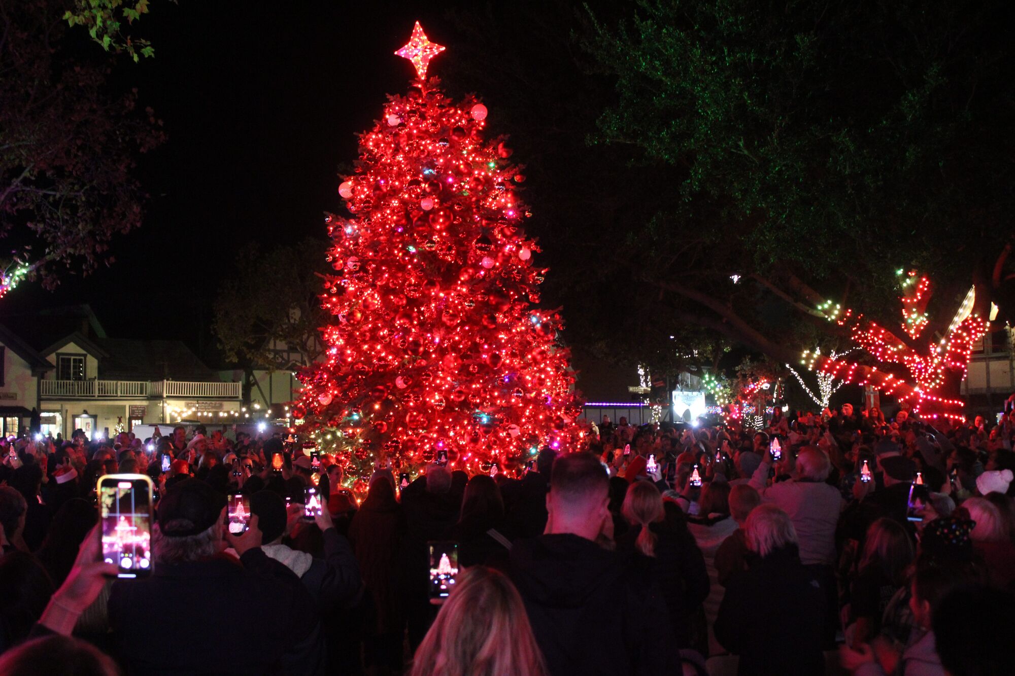 Trees light up all over SY Valley to start holiday season